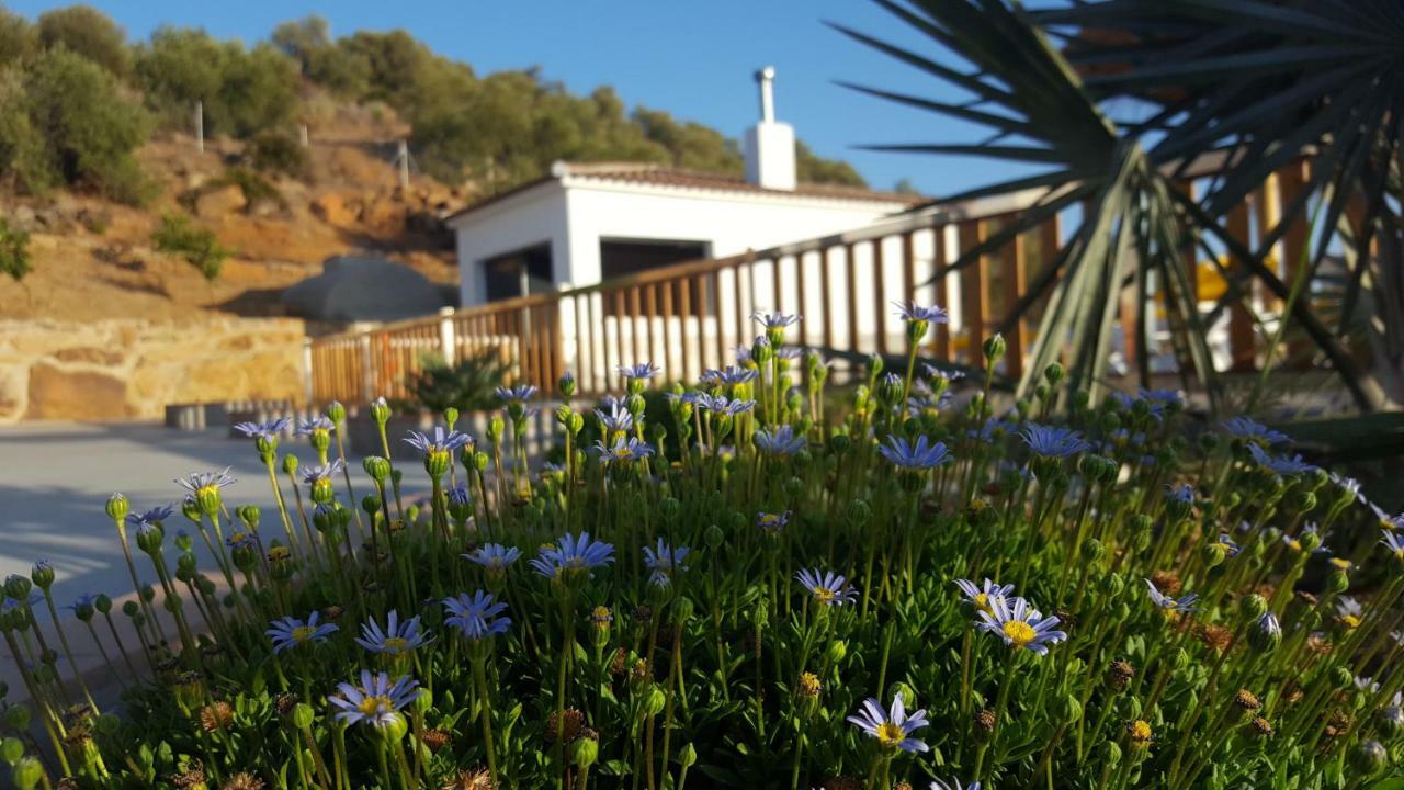Villa Rural El Mirador ألورا المظهر الخارجي الصورة