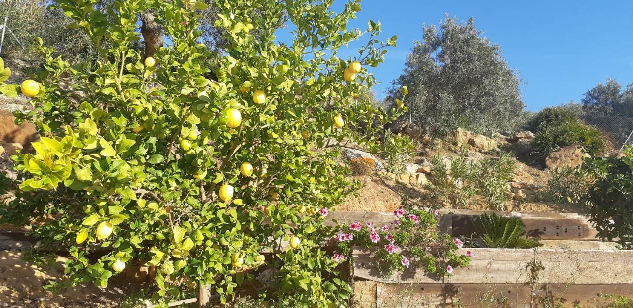 Villa Rural El Mirador ألورا المظهر الخارجي الصورة
